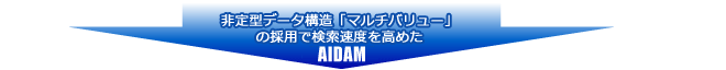 非定型データ構造「マルチバリュー」の採用で検索速度を高めたAIDAM